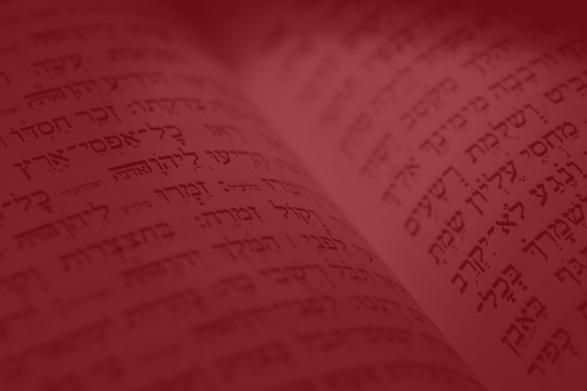 Basics of Biblical Hebrew 1 &amp; 2